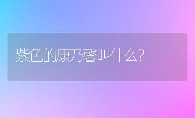 紫色的康乃馨叫什么？ | 绿植常识