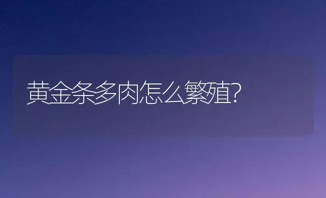 黄金条多肉怎么繁殖？ | 多肉养殖