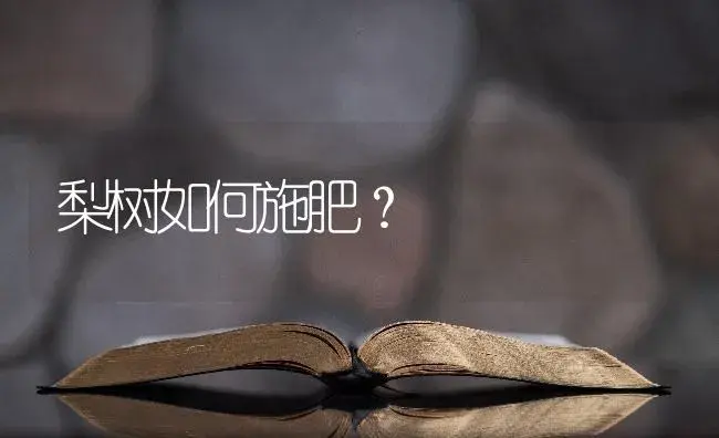 梨树如何施肥？ | 果木种植