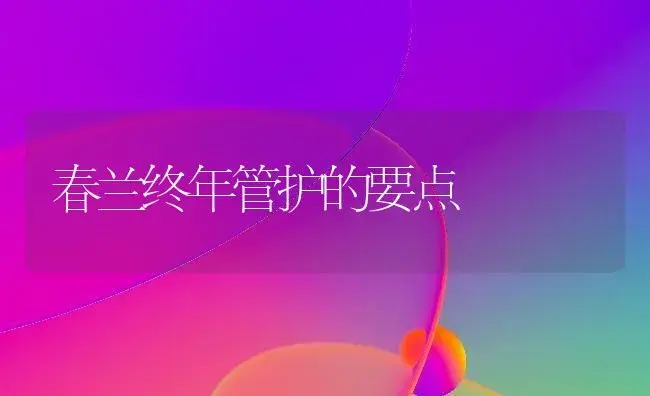 春兰终年管护的要点 | 家庭养花