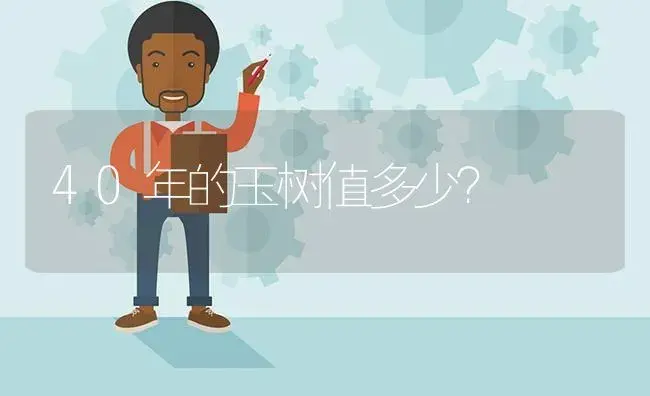 40年的玉树值多少？ | 多肉养殖
