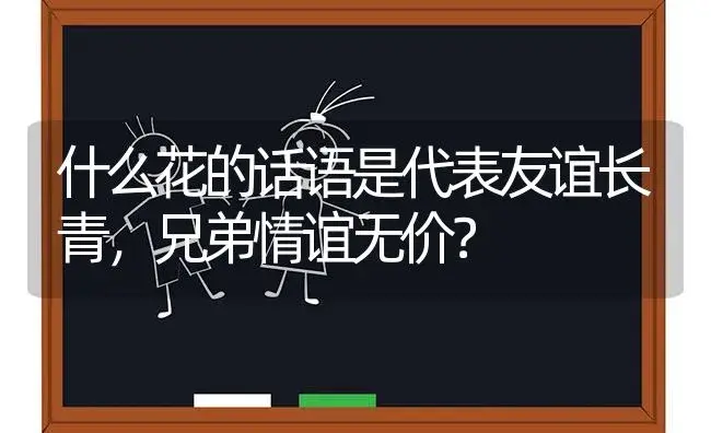 什么花的话语是代表友谊长青，兄弟情谊无价？ | 绿植常识