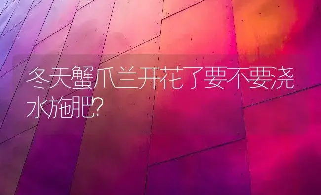 冬天蟹爪兰开花了要不要浇水施肥？ | 多肉养殖