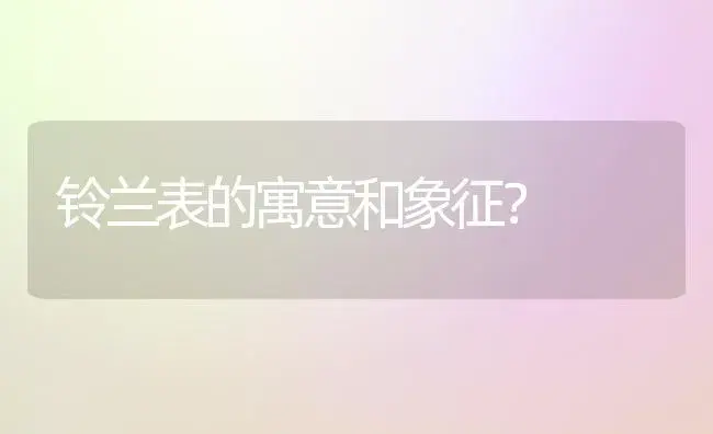 铃兰表的寓意和象征？ | 绿植常识