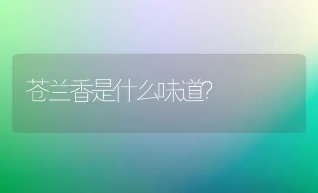 苍兰香是什么味道？ | 绿植常识