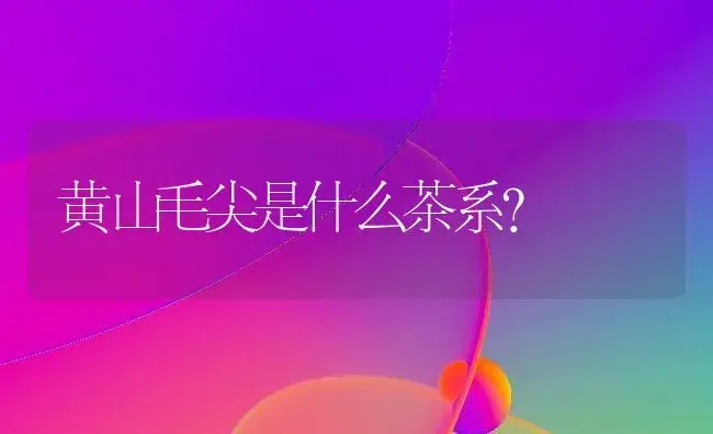 黄山毛尖是什么茶系？ | 多肉养殖