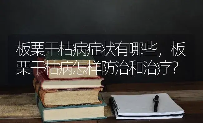 板栗干枯病症状有哪些，板栗干枯病怎样防治和治疗？ | 果木种植