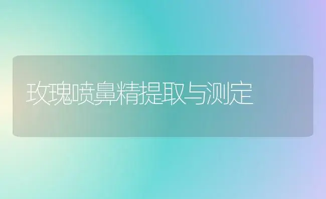 玫瑰喷鼻精提取与测定 | 家庭养花