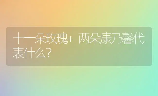 十一朵玫瑰+两朵康乃馨代表什么？ | 绿植常识