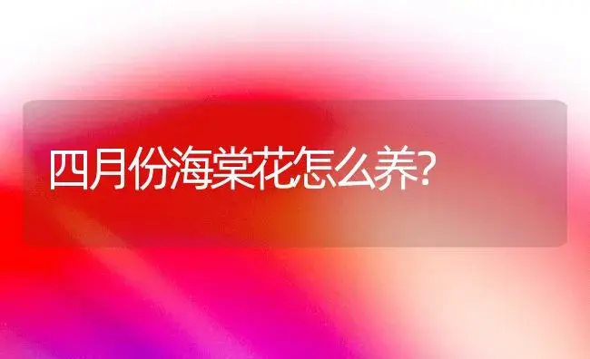 四月份海棠花怎么养？ | 绿植常识