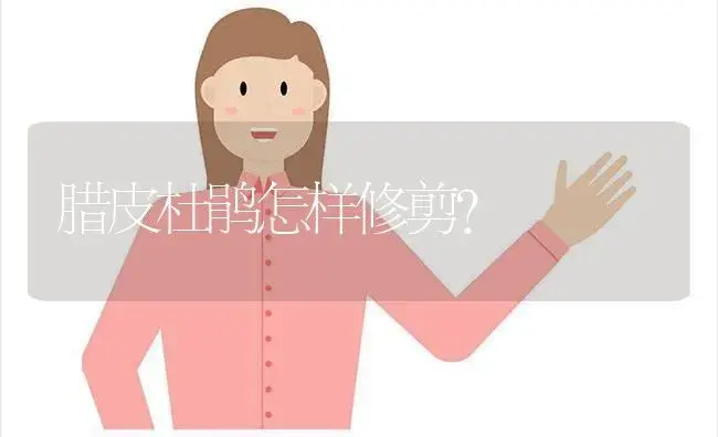 腊皮杜鹃怎样修剪？ | 绿植常识