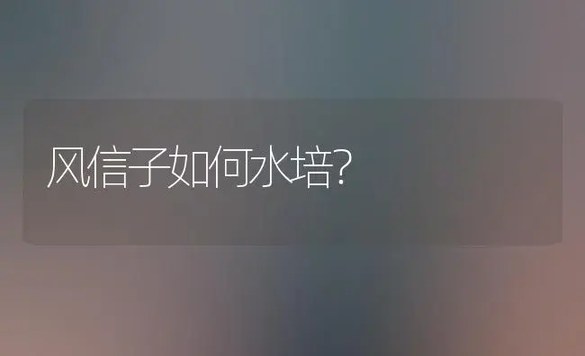 风信子如何水培？ | 绿植常识