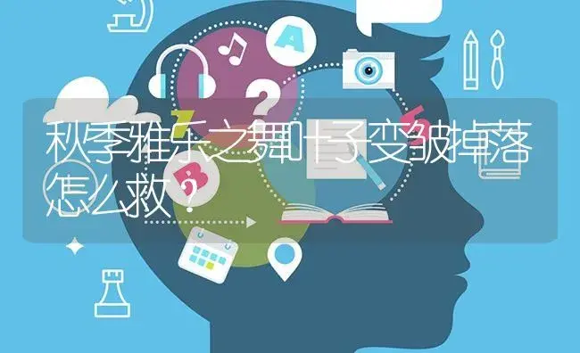 秋季雅乐之舞叶子变皱掉落怎么救？ | 多肉养殖
