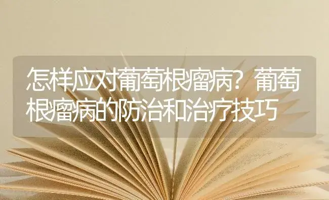 怎样应对葡萄根瘤病？葡萄根瘤病的防治和治疗技巧 | 果木种植