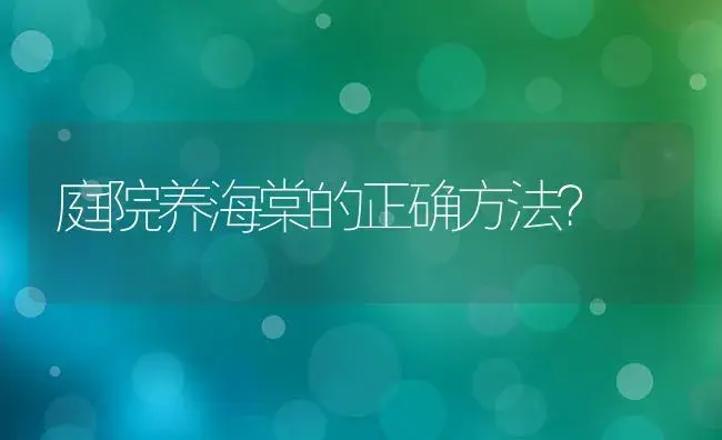 庭院养海棠的正确方法？ | 绿植常识