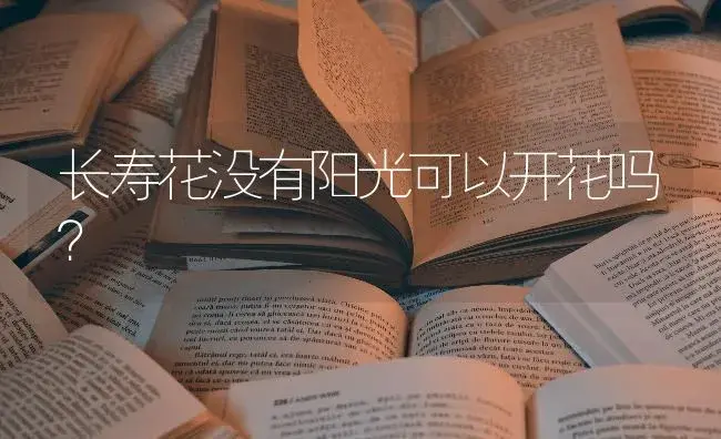 长寿花没有阳光可以开花吗？ | 多肉养殖
