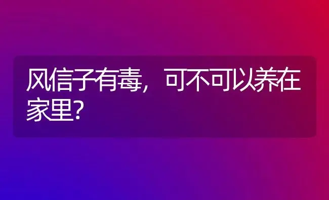 风信子有毒，可不可以养在家里？ | 绿植常识