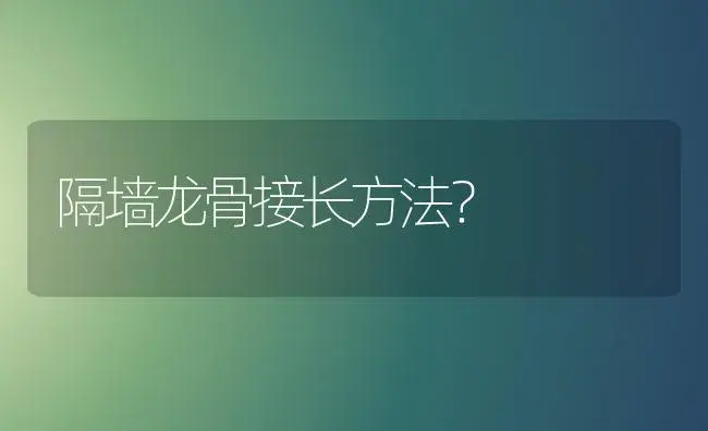 隔墙龙骨接长方法？ | 多肉养殖