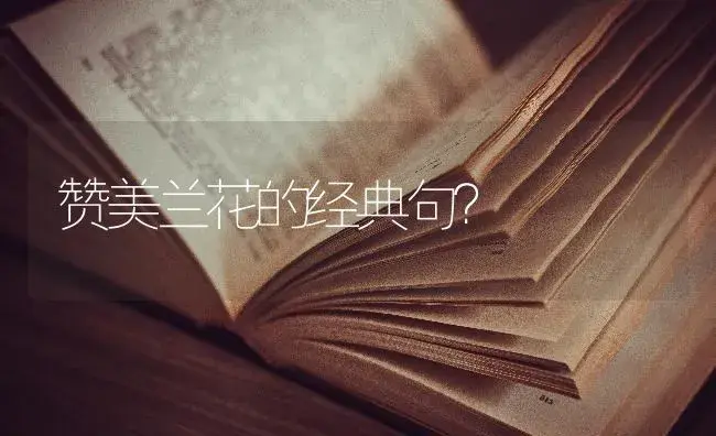 赞美兰花的经典句？ | 绿植常识