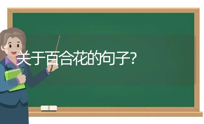 关于百合花的句子？ | 绿植常识