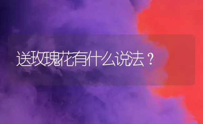 送玫瑰花有什么说法？ | 绿植常识