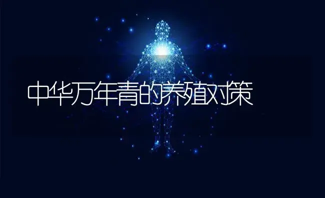 中华万年青的养殖对策 | 特种种植