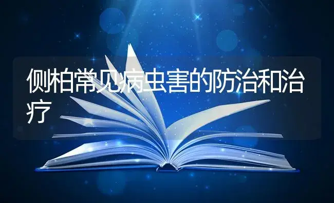 侧柏常见病虫害的防治和治疗 | 特种种植