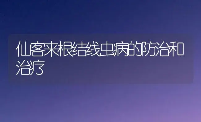 仙客来根结线虫病的防治和治疗 | 家庭养花