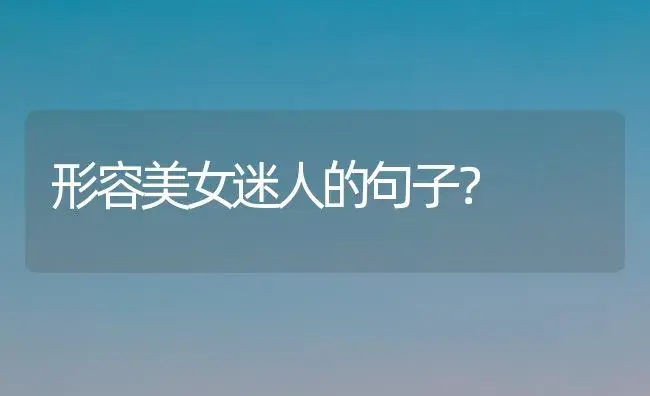 形容美女迷人的句子？ | 多肉养殖