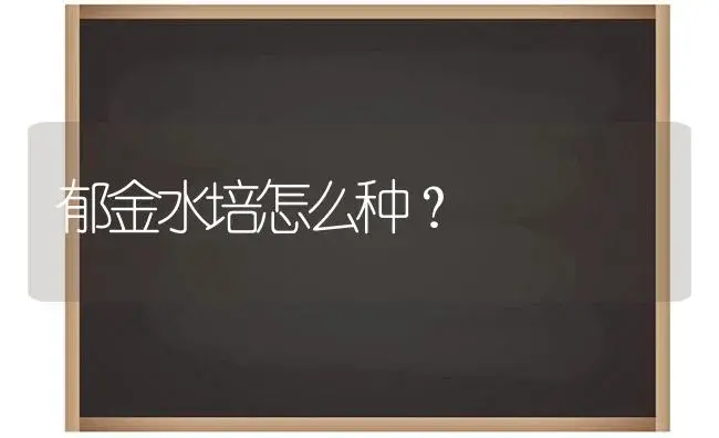 郁金水培怎么种？ | 绿植常识