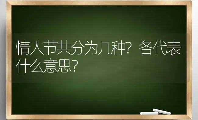 情人节共分为几种?各代表什么意思？ | 绿植常识