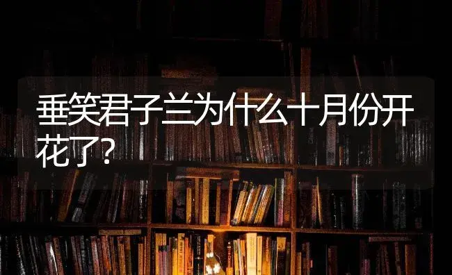 垂笑君子兰为什么十月份开花了？ | 绿植常识