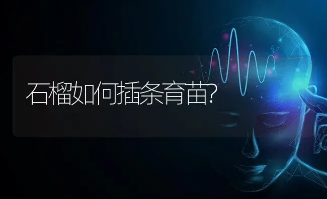 石榴如何插条育苗? | 特种种植