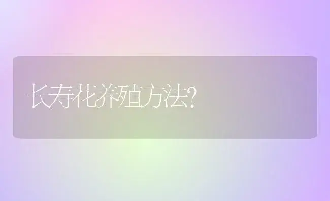 长寿花养殖方法？ | 多肉养殖