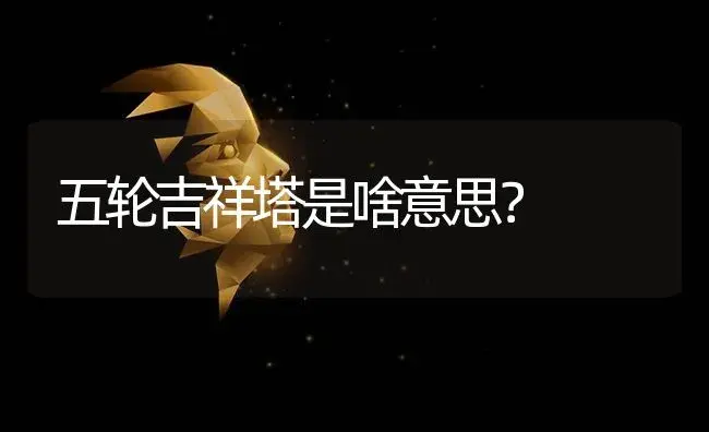 五轮吉祥塔是啥意思？ | 多肉养殖