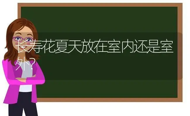 长寿花夏天放在室内还是室外？ | 多肉养殖