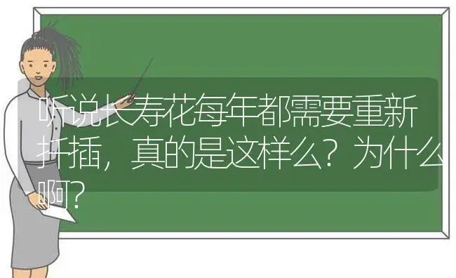 听说长寿花每年都需要重新扦插,真的是这样么？为什么啊？ | 多肉养殖