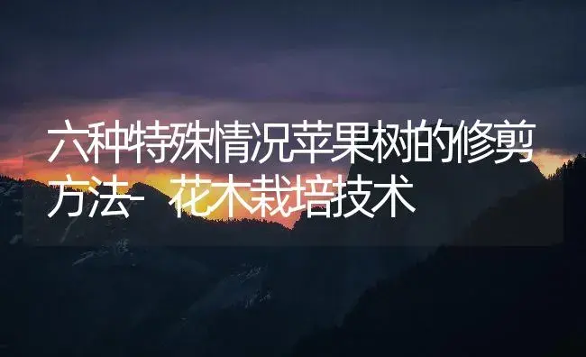 六种特殊情况苹果树的修剪方法-花木栽培技术 | 果木种植