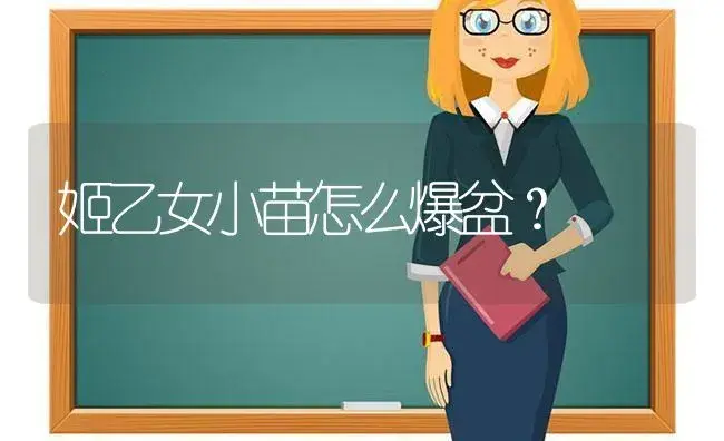 姬乙女小苗怎么爆盆？ | 多肉养殖