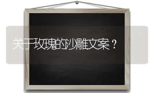 关于玫瑰的沙雕文案？ | 绿植常识