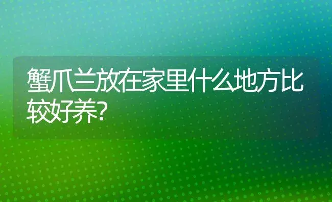 蟹爪兰放在家里什么地方比较好养？ | 多肉养殖