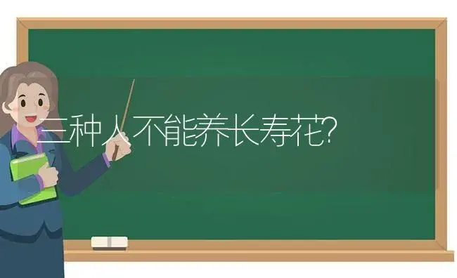 三种人不能养长寿花？ | 多肉养殖