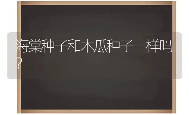 海棠种子和木瓜种子一样吗？ | 绿植常识