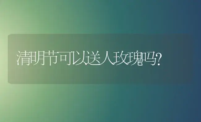 净水器怎么更换滤芯要泡水再用吗？ | 绿植常识