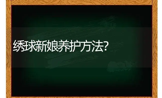 绣球新娘养护方法？ | 绿植常识