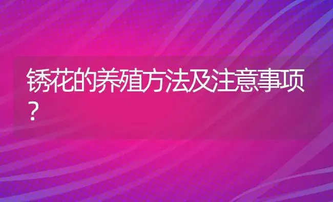 锈花的养殖方法及注意事项？ | 绿植常识