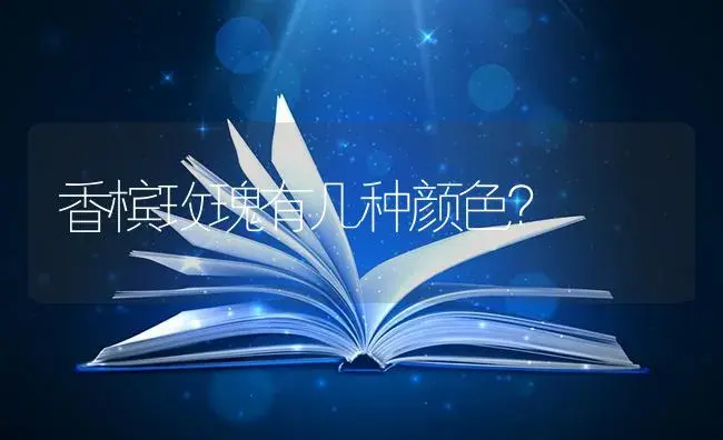 香槟玫瑰有几种颜色？ | 绿植常识