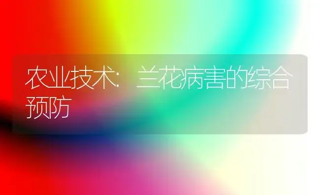 农业技术:兰花病害的综合预防 | 家庭养花