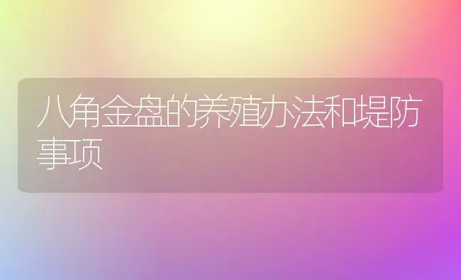 八角金盘的养殖办法和堤防事项 | 家庭养花