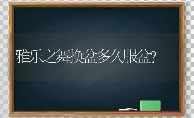 雅乐之舞换盆多久服盆？ | 多肉养殖